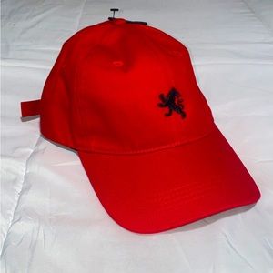 Express Baseball hat